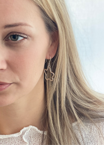 Starlight Earrings TE245